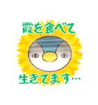 弁護士のお金事情★ひまぺん（個別スタンプ：7）