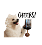 ポメラニアンが英語であいさつ Pomeranian（個別スタンプ：25）
