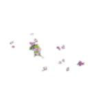 花写真紫陽花パンジー春綺麗な華桜ひまわり（個別スタンプ：11）