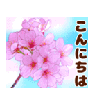 大人女子のピンク満開❤️桜 春の挨拶（個別スタンプ：2）