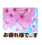 大人女子のピンク満開❤️桜 春の挨拶（個別スタンプ：4）