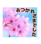 大人女子のピンク満開❤️桜 春の挨拶（個別スタンプ：7）
