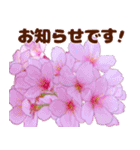 大人女子のピンク満開❤️桜 春の挨拶（個別スタンプ：15）