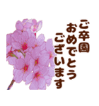 大人女子のピンク満開❤️桜 春の挨拶（個別スタンプ：18）