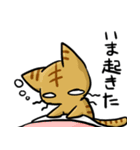 ねこうさ劇場スタンプ（個別スタンプ：2）