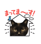 黒猫じみーのあいさつ（個別スタンプ：8）