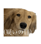 うなんぷ。（個別スタンプ：5）