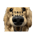 うなんぷ。（個別スタンプ：6）