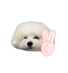 ぷくちゃん博士（個別スタンプ：3）