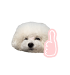 ぷくちゃん博士（個別スタンプ：4）