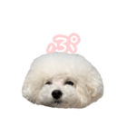 ぷくちゃん博士（個別スタンプ：9）