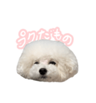 ぷくちゃん博士（個別スタンプ：10）