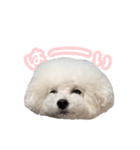 ぷくちゃん博士（個別スタンプ：12）