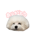 ぷくちゃん博士（個別スタンプ：14）