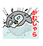 だるまペンギン（個別スタンプ：13）