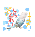 セキセイ・インコのカイちゃんとピーちゃん（個別スタンプ：2）