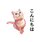 なむなむねこのエリンさん(敬語)（個別スタンプ：1）