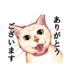 なむなむねこのエリンさん(敬語)（個別スタンプ：2）