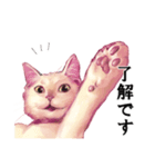 なむなむねこのエリンさん(敬語)（個別スタンプ：4）