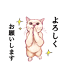 なむなむねこのエリンさん(敬語)（個別スタンプ：5）