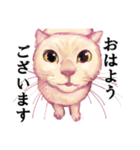 なむなむねこのエリンさん(敬語)（個別スタンプ：9）