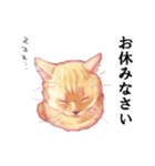 なむなむねこのエリンさん(敬語)（個別スタンプ：10）