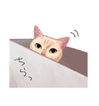 なむなむねこのエリンさん(敬語)（個別スタンプ：20）