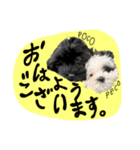 PECOPOCO♡（個別スタンプ：1）