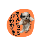 PECOPOCO♡（個別スタンプ：6）