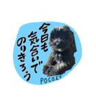 PECOPOCO♡（個別スタンプ：7）