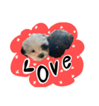 PECOPOCO♡（個別スタンプ：11）