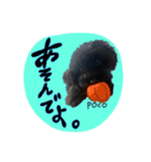 PECOPOCO♡（個別スタンプ：12）