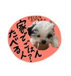 PECOPOCO♡（個別スタンプ：13）