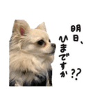 赤ちゃんズ3（個別スタンプ：1）