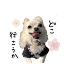 赤ちゃんズ3（個別スタンプ：3）