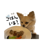 赤ちゃんズ3（個別スタンプ：5）