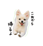 赤ちゃんズ3（個別スタンプ：6）