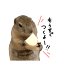 赤ちゃんズ3（個別スタンプ：7）