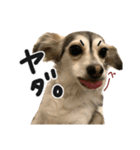 赤ちゃんズ3（個別スタンプ：9）