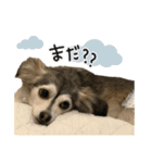 赤ちゃんズ3（個別スタンプ：13）