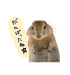赤ちゃんズ3（個別スタンプ：23）