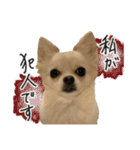 赤ちゃんズ3（個別スタンプ：24）