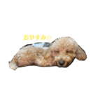 ワンズとリク（個別スタンプ：8）