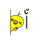 ひよりんマークのひよこ達（個別スタンプ：13）