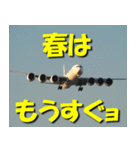 飛行機のつぶやき015（個別スタンプ：24）