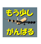 飛行機のつぶやき015（個別スタンプ：26）