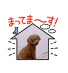 シュガール。（個別スタンプ：4）
