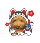 シュガール。（個別スタンプ：7）