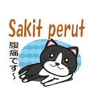 インドネシアに住むハチワレ猫（個別スタンプ：36）