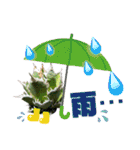 AGAVE LOVERのためのアガベスタンプ第2弾（個別スタンプ：8）